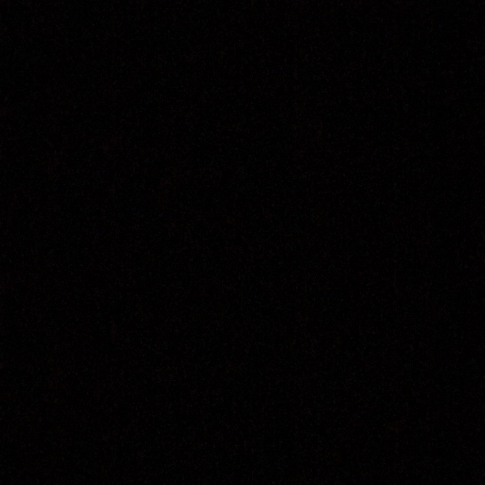 Meet your Posher, Callie